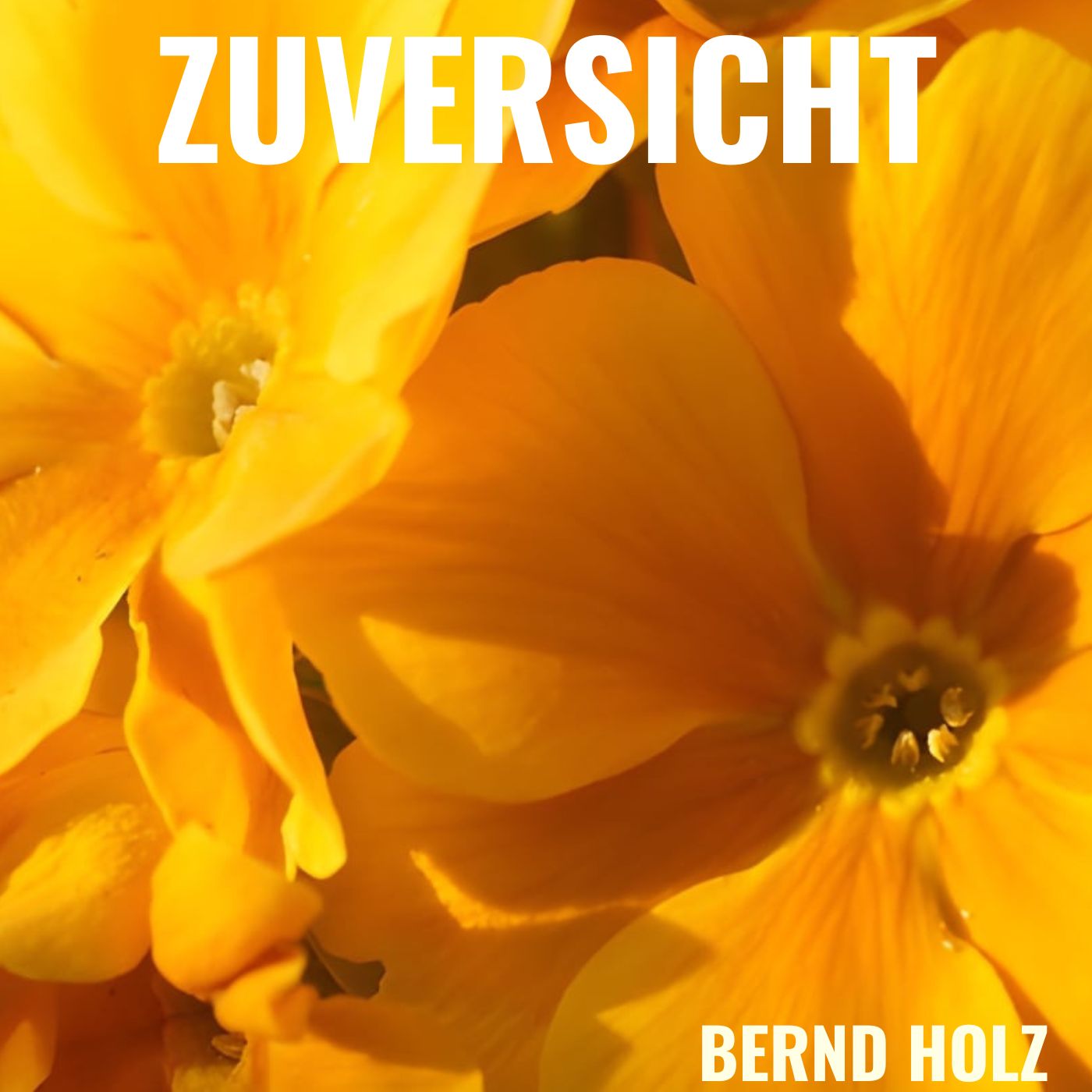 Zuversicht